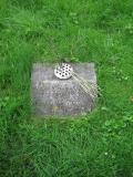 image of grave number 261767